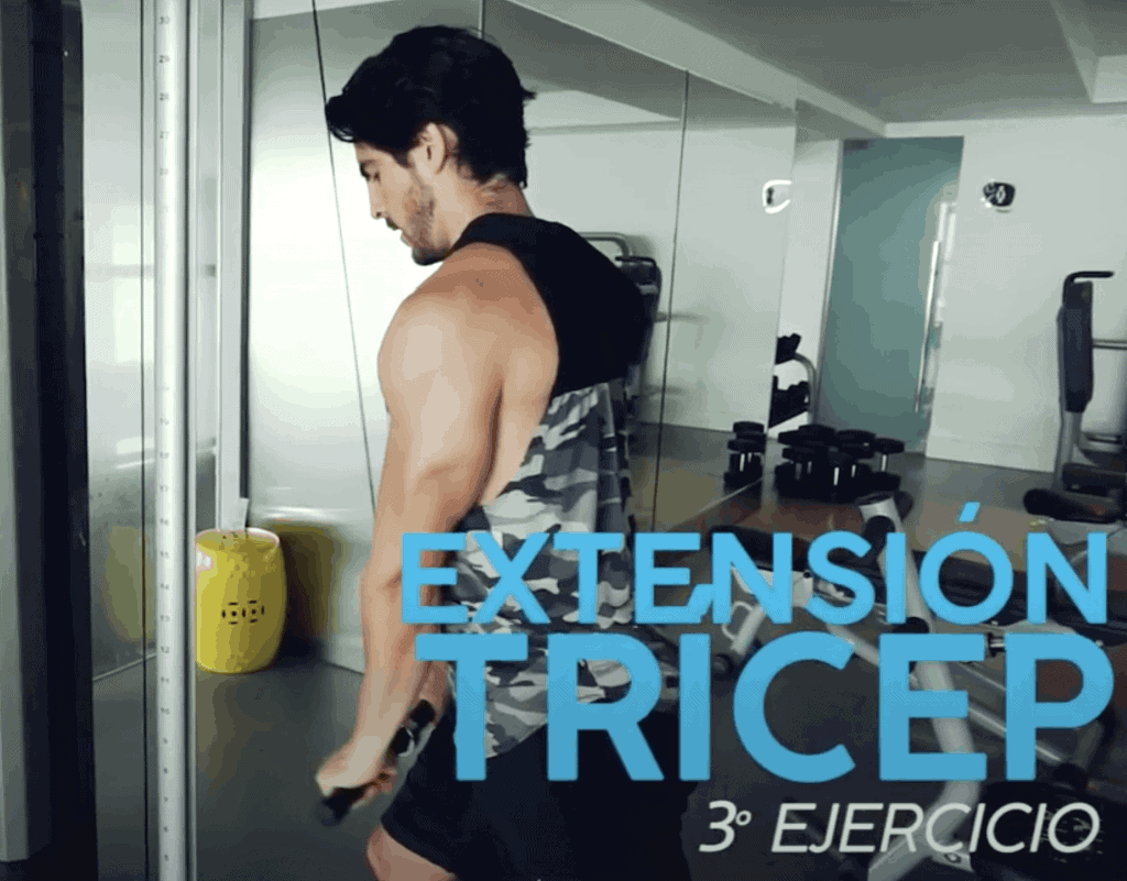 masa muscular ejercicios tricep