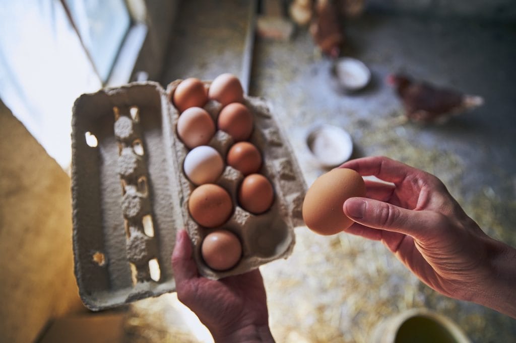 cuánta proteína huevo